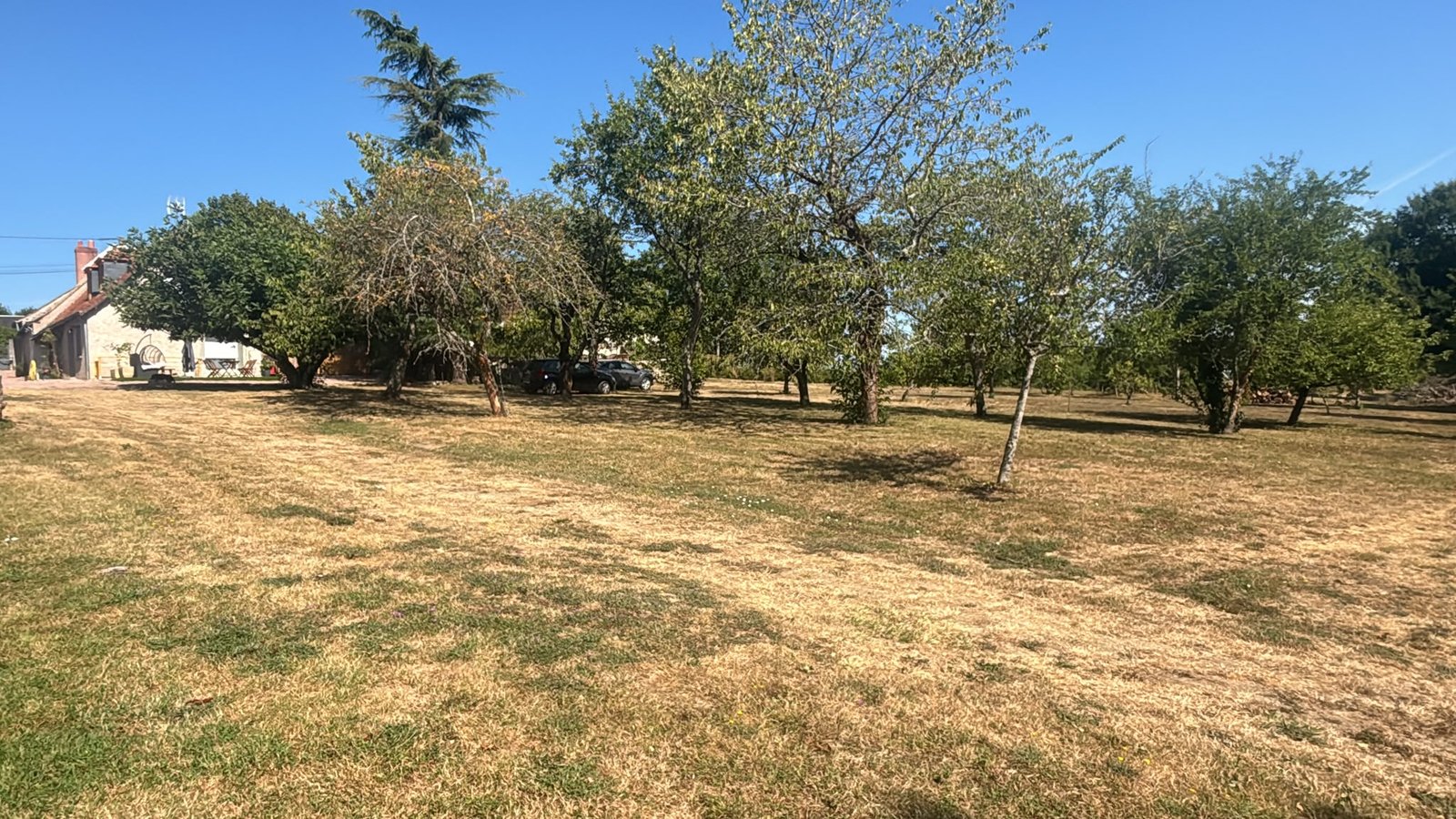 Vue générale du parc et des arbres fruitiers